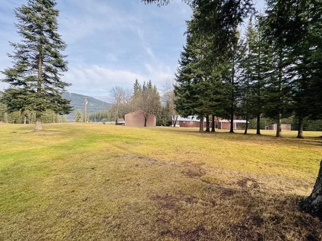 view of yard featuring a mountain view