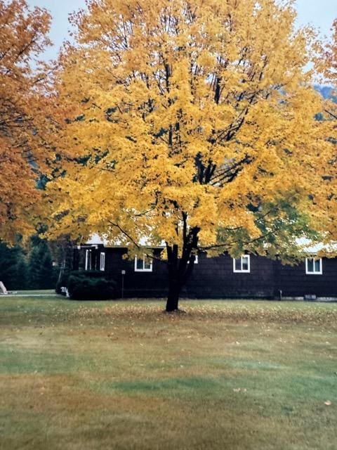 view of property's community featuring a lawn