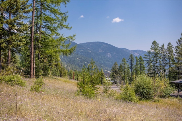 302 Northern Lights Dr, Whitefish MT, 59937 land for sale