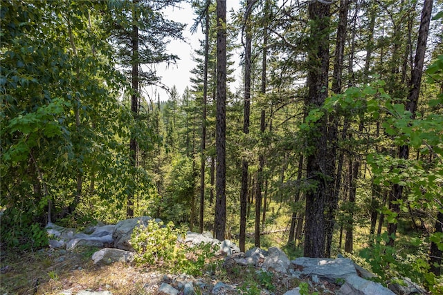 302 Northern Lights Dr, Whitefish, MT 59937