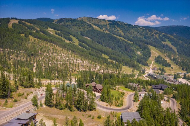302 Northern Lights Dr, Whitefish, MT 59937