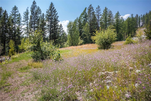 302 Northern Lights Dr, Whitefish, MT 59937