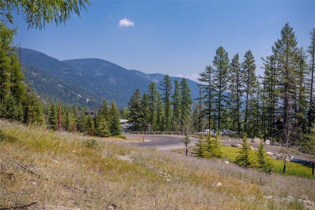 302 Northern Lights Dr, Whitefish, MT 59937