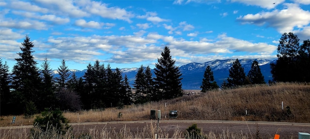 Listing photo 3 for LOT37 Southlake Crst, Polson MT 59860