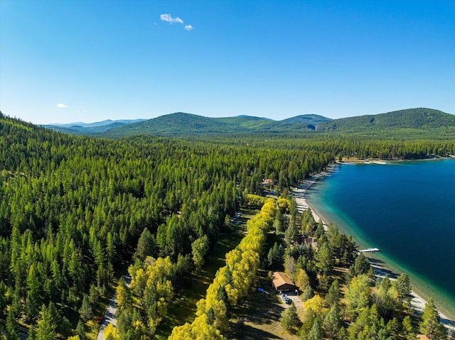 853 Bitterroot Dr, Marion MT, 59925 land for sale