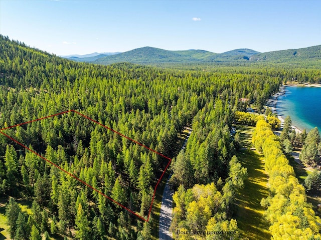 853 Bitterroot Dr, Marion MT, 59925 land for sale