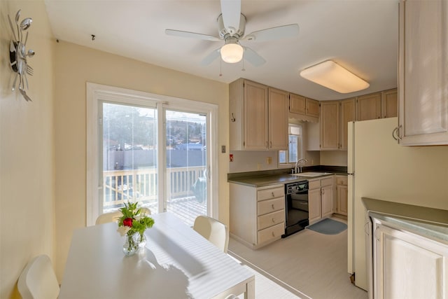 kitchen with light brown cabinets, sink, ceiling fan, black dishwasher, and white fridge