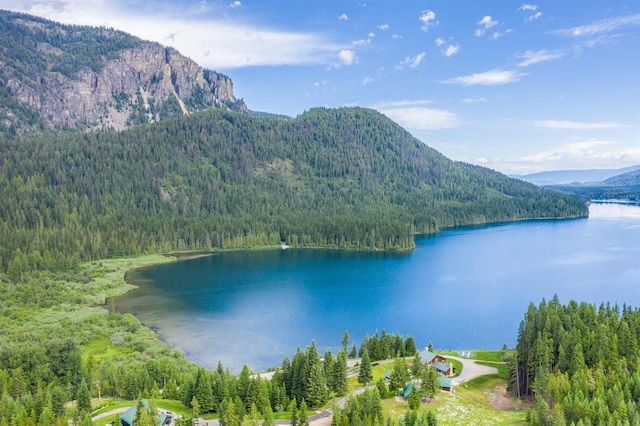 view of water feature with a mountain view