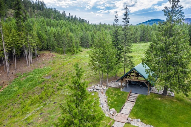 birds eye view of property with a mountain view