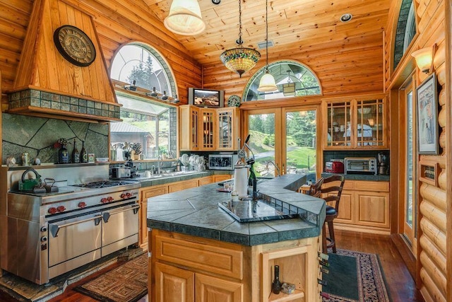 kitchen featuring a kitchen island with sink, premium stove, dark wood-type flooring, and plenty of natural light