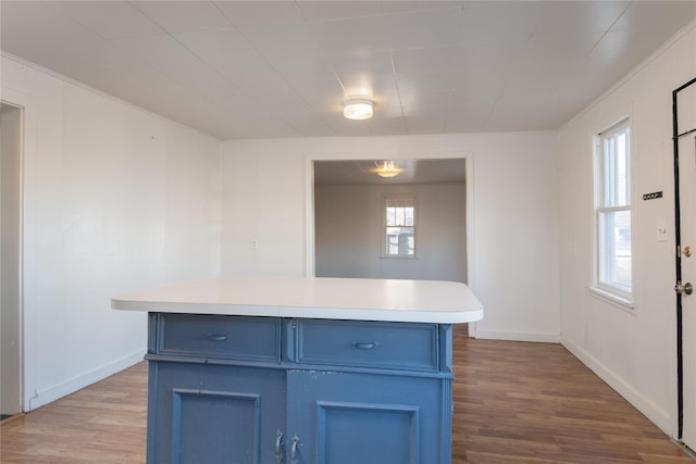 kitchen with blue cabinetry, light hardwood / wood-style floors, and a kitchen island