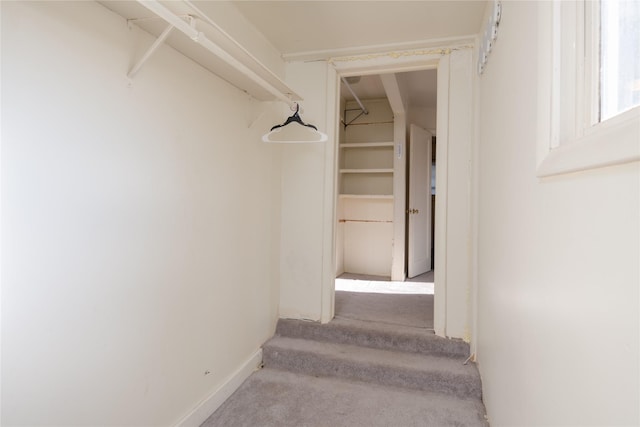 walk in closet with light colored carpet