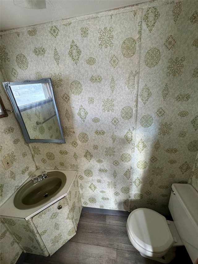 bathroom with hardwood / wood-style floors, vanity, and toilet