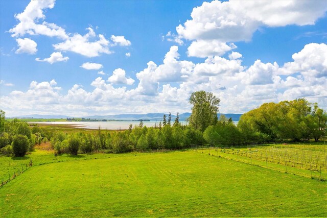 wooden deck with a lawn and a water view