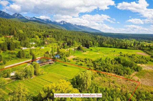 birds eye view of property featuring a mountain view