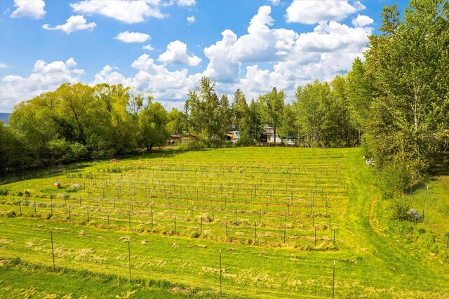 view of nature