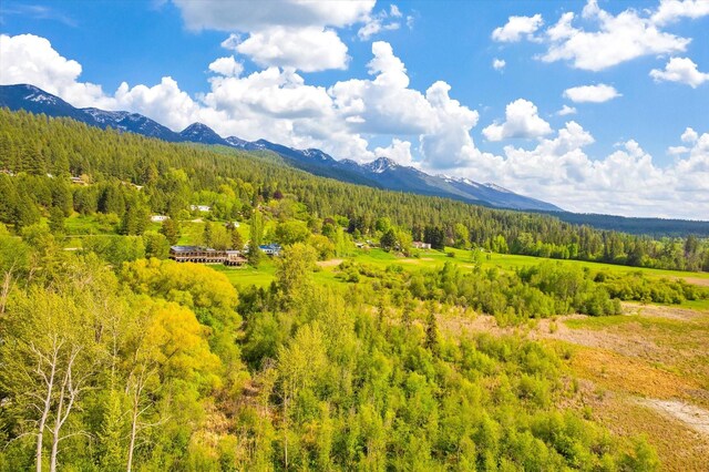 view of local wilderness