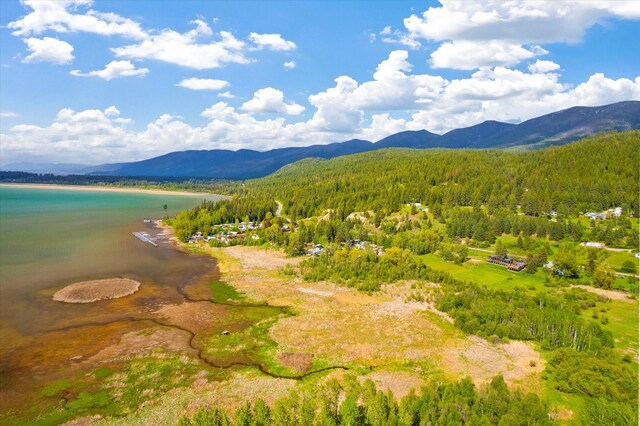 water view featuring a mountain view