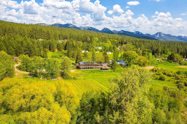 drone / aerial view with a mountain view