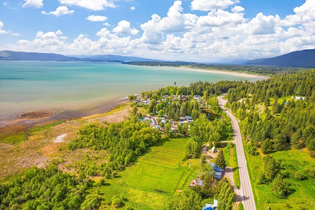 drone / aerial view featuring a water and mountain view