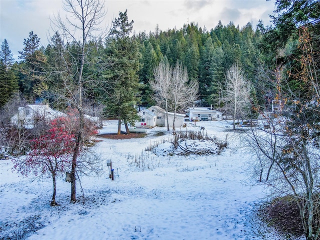 view of yard layered in snow