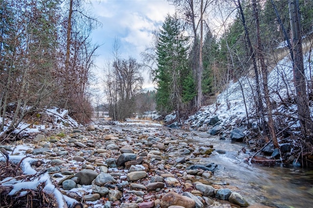 view of local wilderness