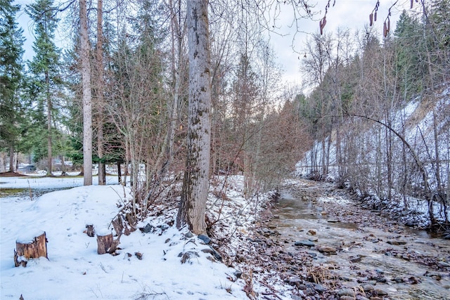 view of snow covered land