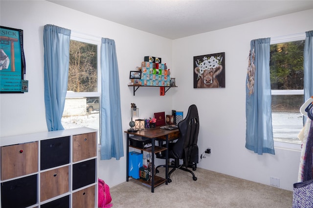 carpeted office featuring a wealth of natural light