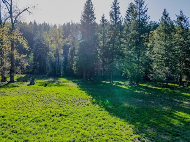 view of yard with a wooded view