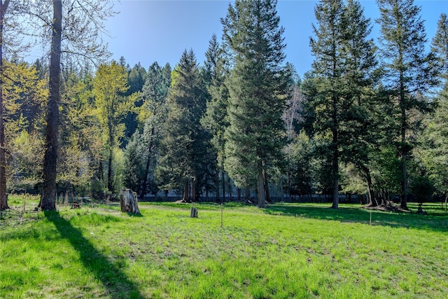 view of yard with a view of trees