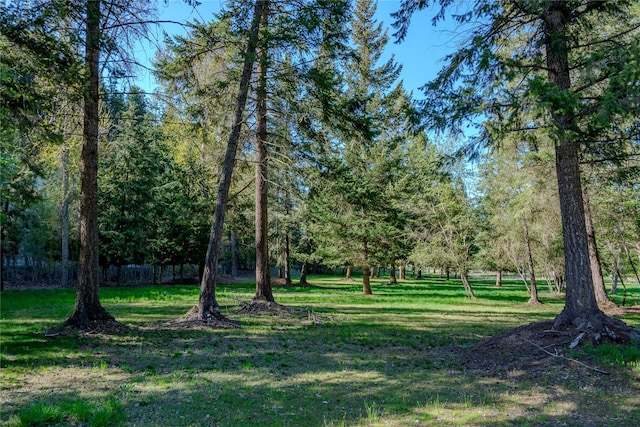 view of community featuring a lawn