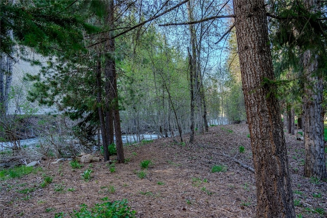 view of landscape featuring a wooded view