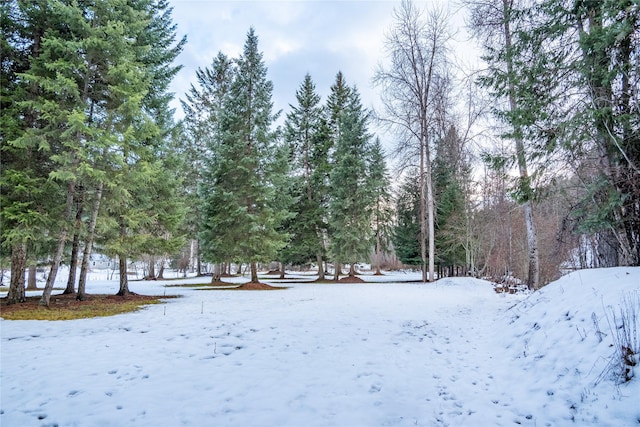 view of snowy yard