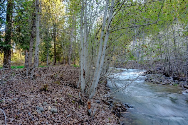 property view of water with a wooded view