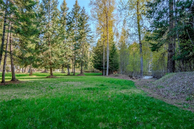view of yard