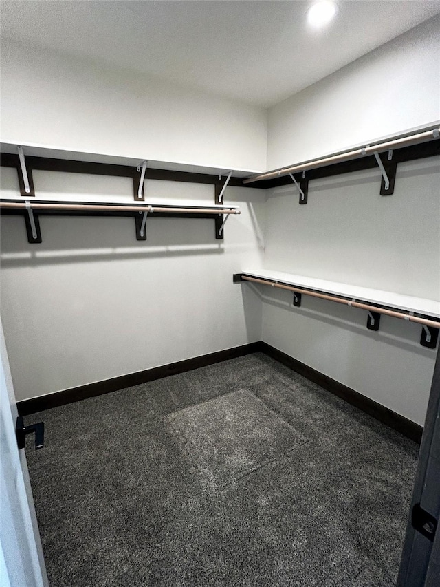 spacious closet featuring dark colored carpet