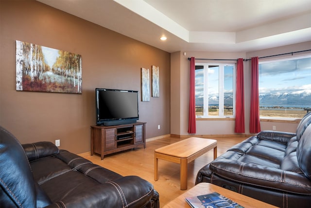 living room with hardwood / wood-style flooring and a raised ceiling