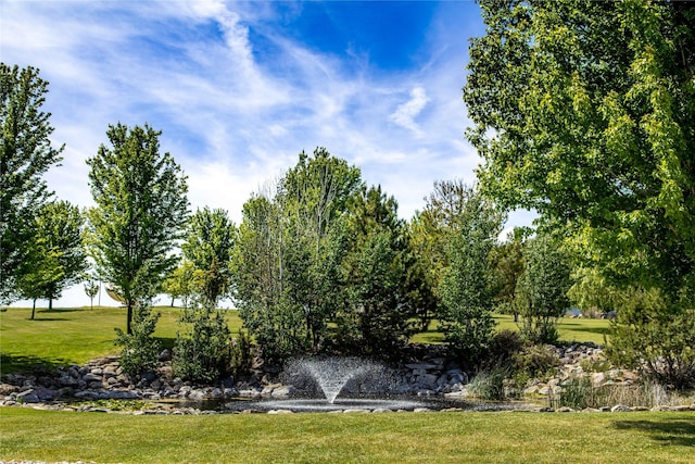 view of property's community featuring a yard