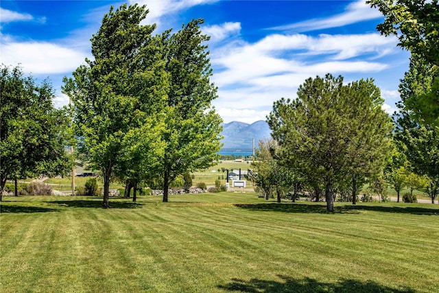 view of yard with a mountain view