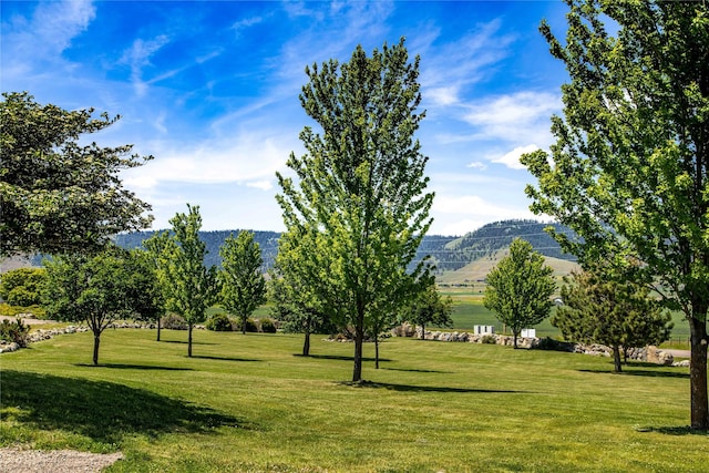 view of property's community with a lawn and a mountain view