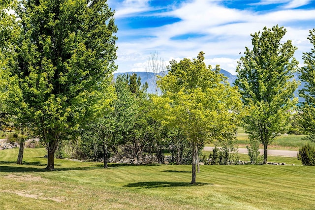 surrounding community with a mountain view and a yard