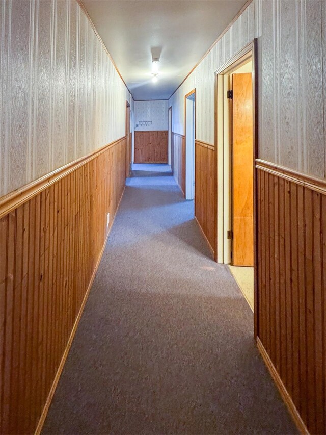 corridor with wood walls and carpet floors