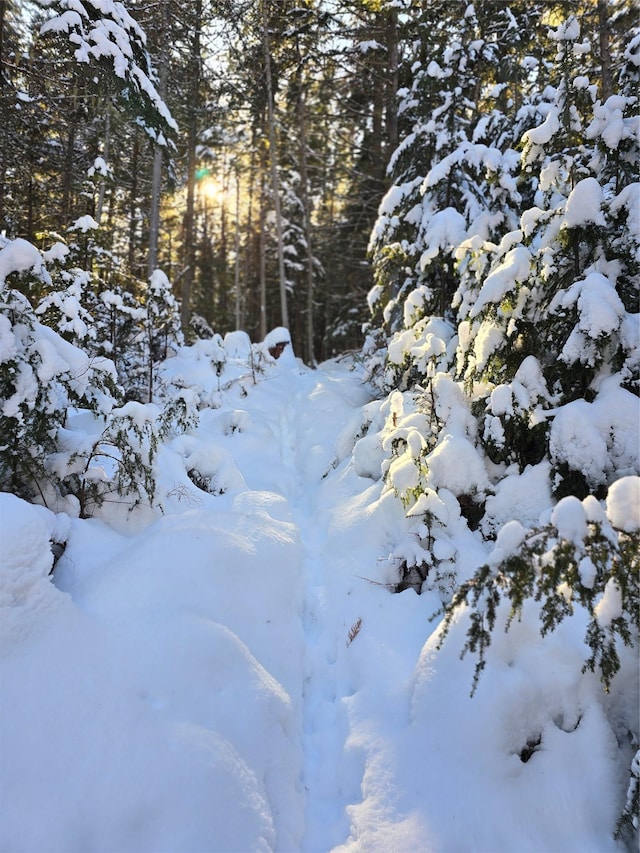 view of snowy landscape