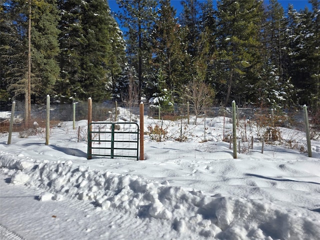 view of snowy yard