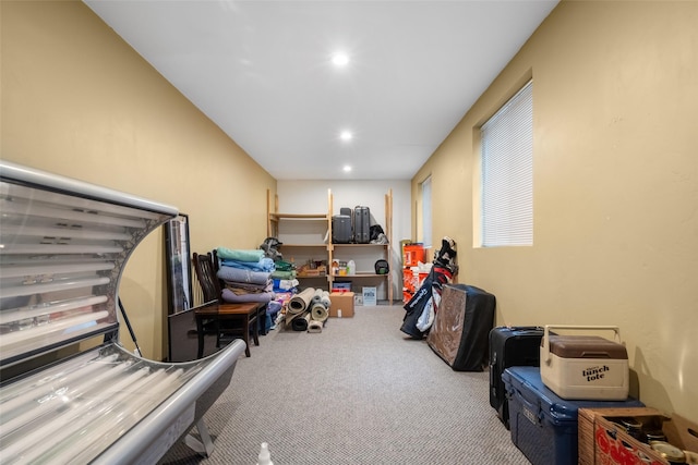 miscellaneous room with carpet floors