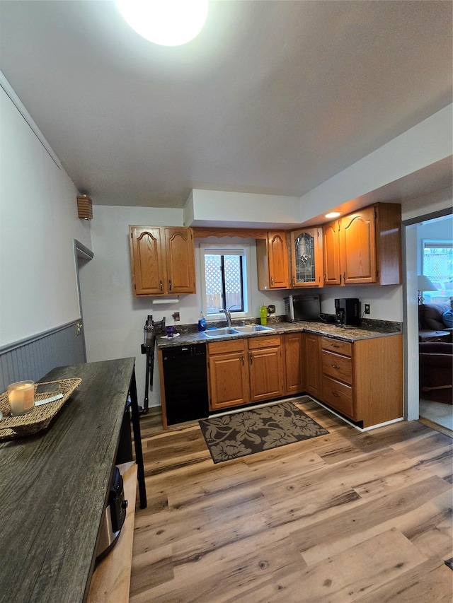 kitchen featuring dishwasher, sink, and light wood-type flooring