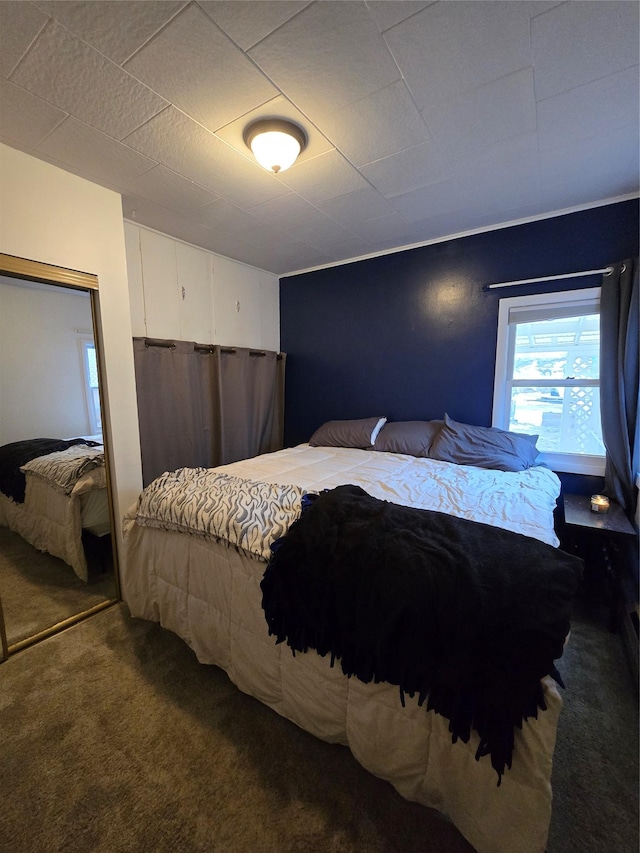 bedroom featuring carpet floors and a closet