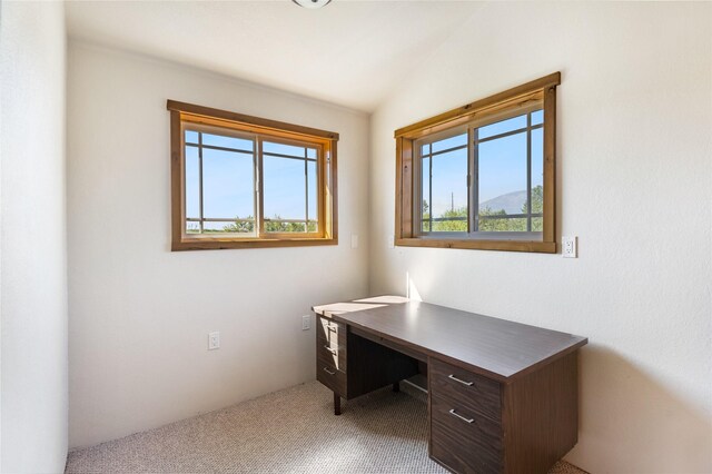 office space featuring vaulted ceiling