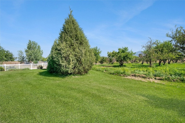 view of yard featuring a rural view