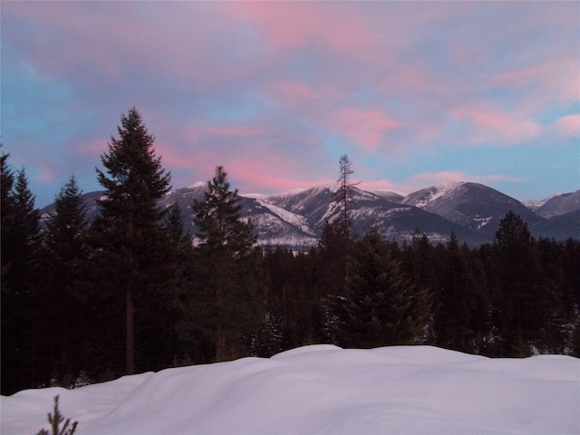 view of mountain feature